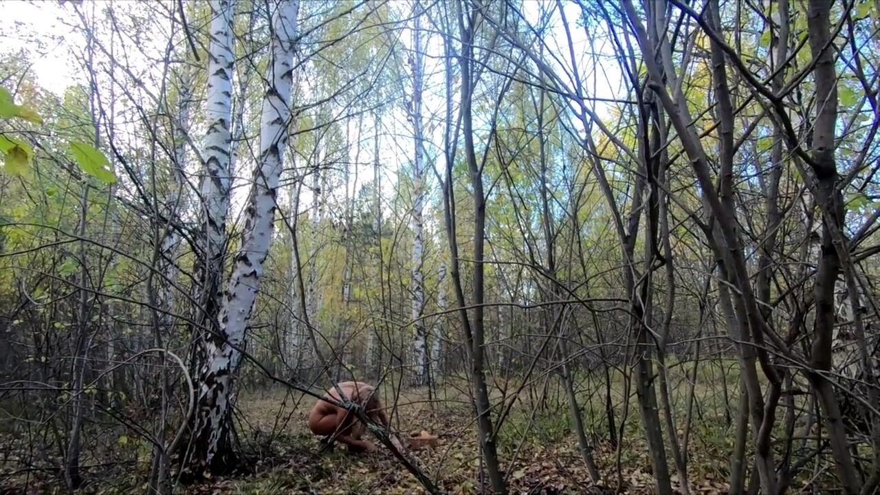 Miss Motivated Nude Picking Mushrooms In The Forest