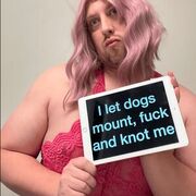 NinebarkWebslut