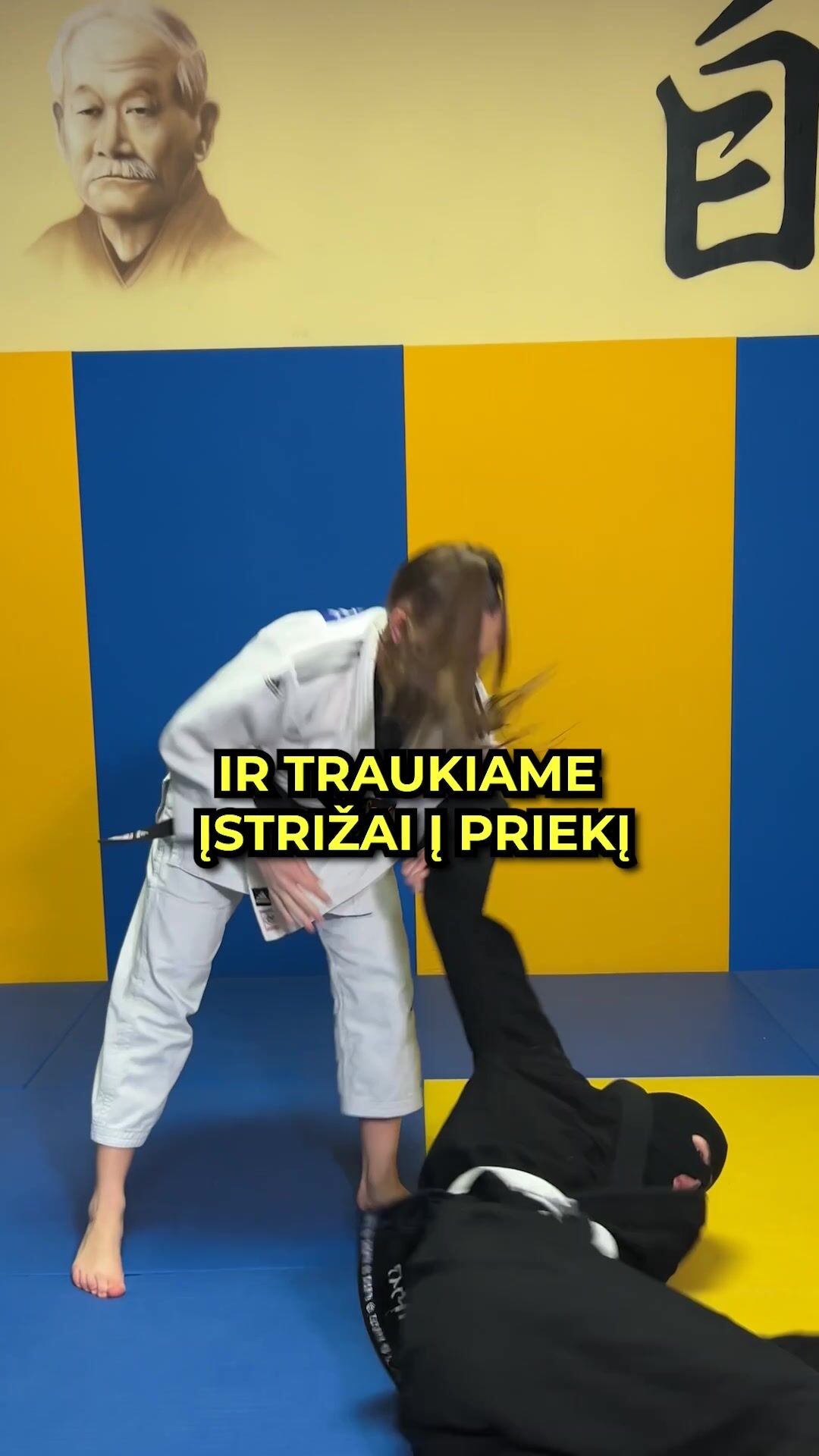 Judo 3