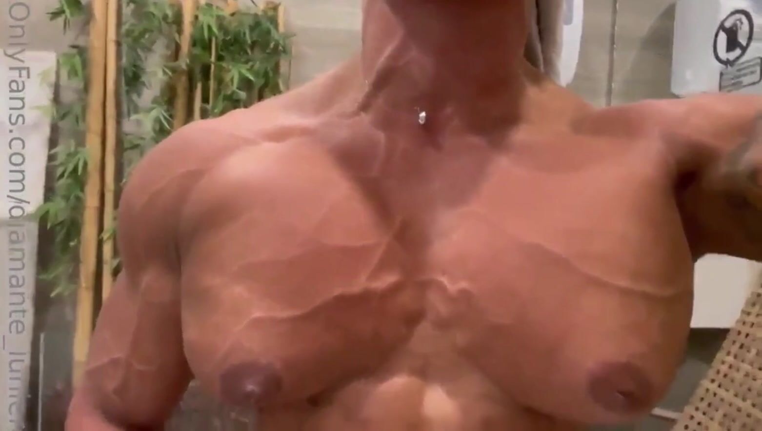 Dia vascular pecs