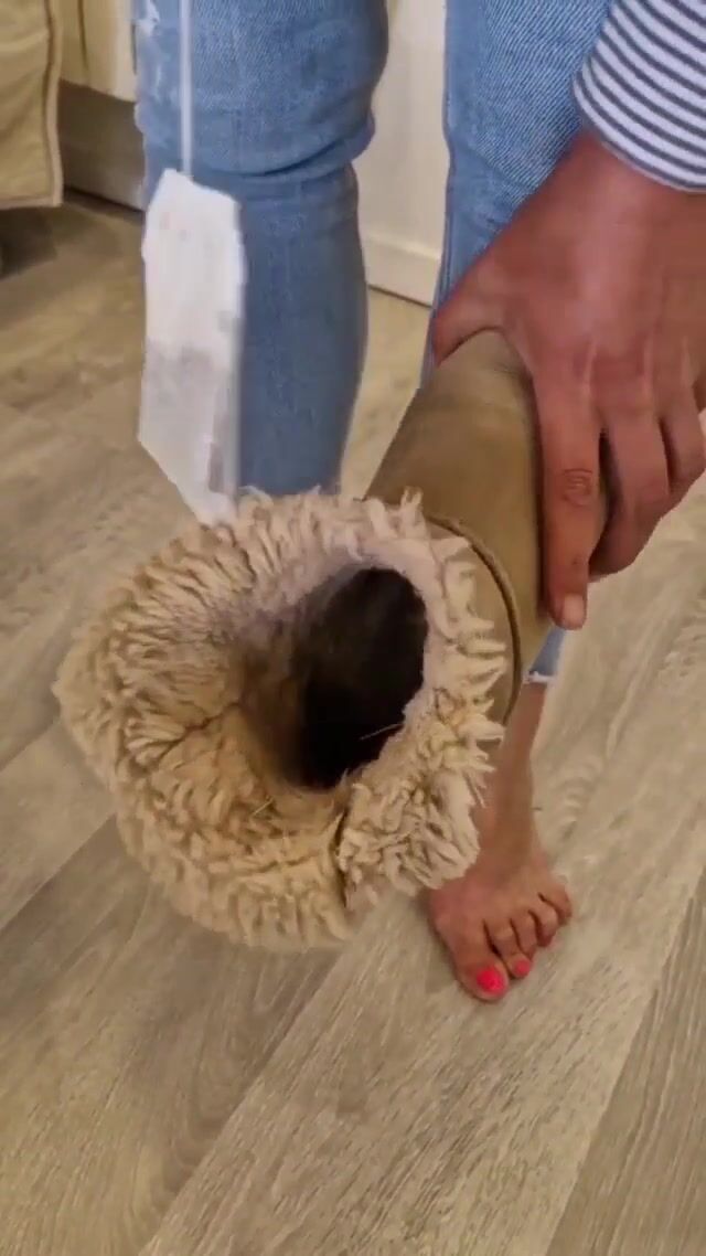 Dirty Ambre French woman places Tea bag in her dirty STINKY Smelly Filthy Ugg Boots with her feet