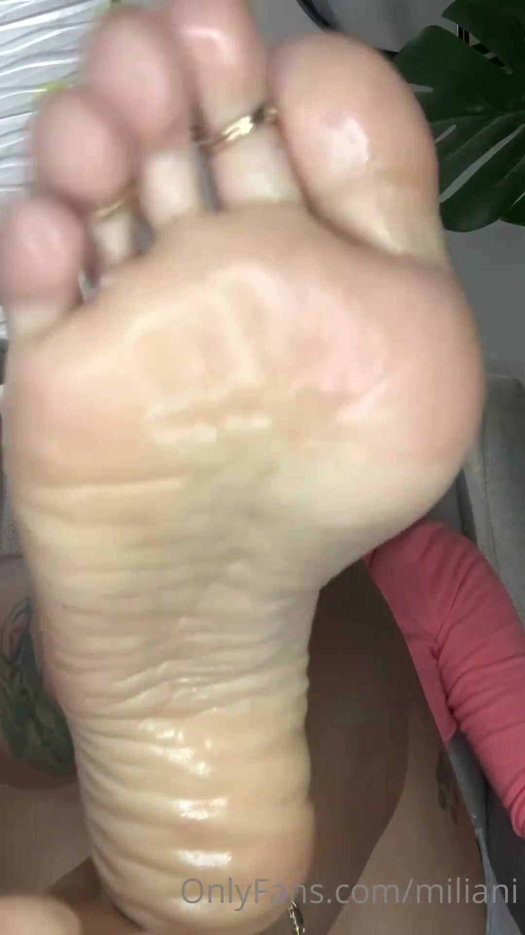 Xxxx Pily Vidio - Miliani my oily soles... waiting for you to slip up down. xxx onlyfans porn  video